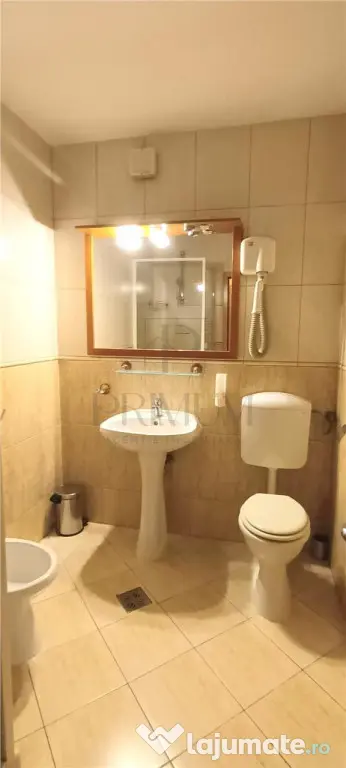 Apartament 1 camera mobilat - Blacescu - Complexul Studentes - Timisoara (Timis)