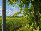 Teren intravilan 10.000 mp, parcelabil, plan, acces asfaltat 