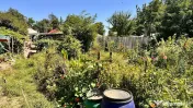Teren + Casă de Vânzare Bacău, Calea Romanului – 1.8... 