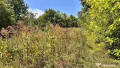 Teren + Casă de Vânzare Bacău, Calea Romanului – 1.8... 