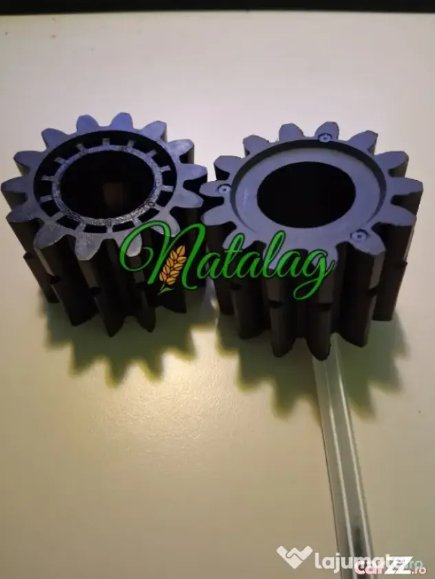 PINION semanatoare Nodet - Turda (Cluj)