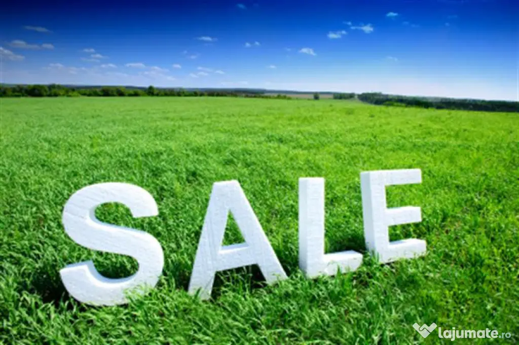 Teren agricol 300ha zona Sibiu-Agnita - Barghis (Sibiu)
