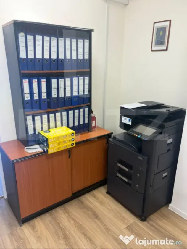Spațiu de birouri, 256 mp, zona Olimpia Stadion - Bulevard - Timisoara (Timis)