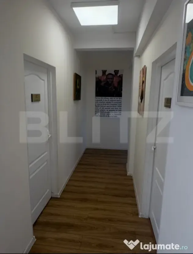 Spațiu de Birouri în Clădire P+2 | Bulevard Principal | - Timisoara (Timis)