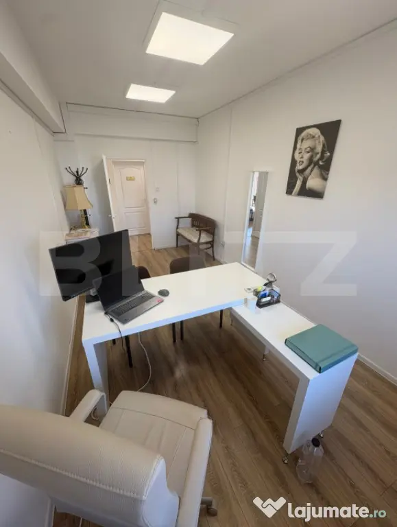 Spațiu de Birouri în Clădire P+2 | Bulevard Principal | - Timisoara (Timis)