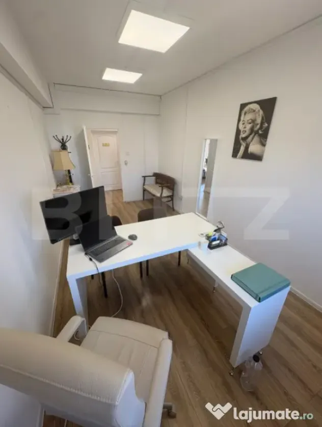 Spațiu de Birouri în Clădire P+2 | Bulevard Principal | - Timisoara (Timis)