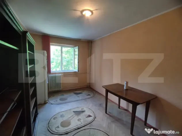 Apartament 1 camera, zona Cantemir - Iasi (Iasi)