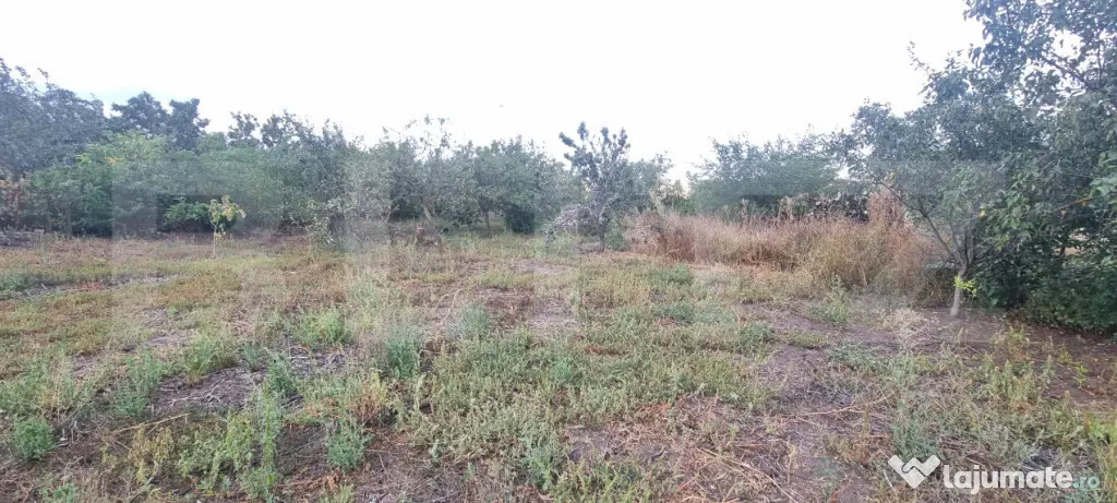 Casa cu 2corpuri+anexe - Tritenii De Sus (Cluj)