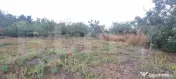 Casa cu 2corpuri+anexe