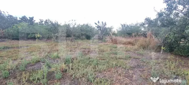 Casa cu 2corpuri+anexe - Tritenii De Sus (Cluj)