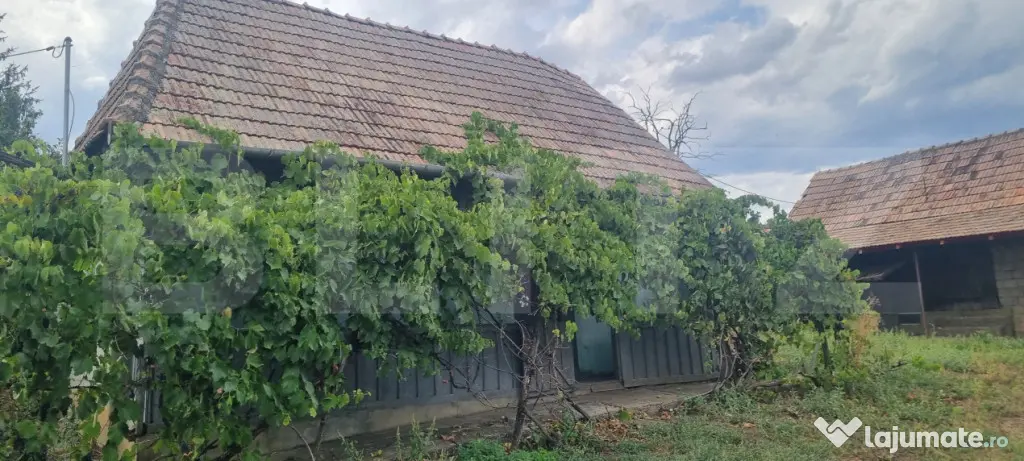 Casa cu 2corpuri+anexe - Tritenii De Sus (Cluj)