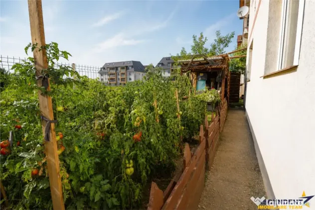 Apartament 2 camere decomandat, cu terasa, gradina si parcar - Brasov (Brasov)