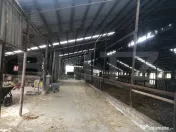 De vânzare teren 15 000 mp , cu ferma , zona Mărtinești