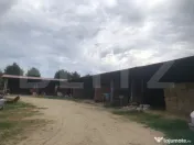 De vânzare teren 15 000 mp , cu ferma , zona Mărtinești