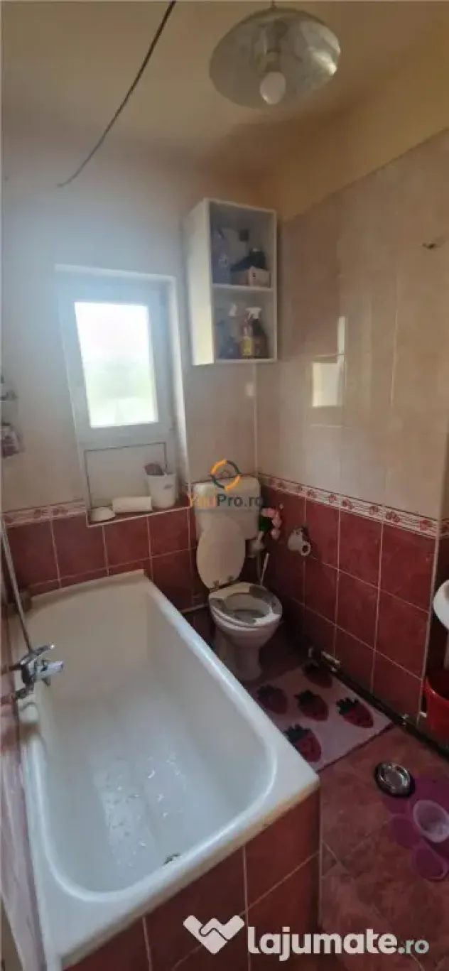 Casa individuala cu 2 apartamente individuale zona Balcescu - Timisoara (Timis)