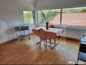 CASA+SPATIU PENTRU AFACERE/LOCUIT IANCU JIANU 