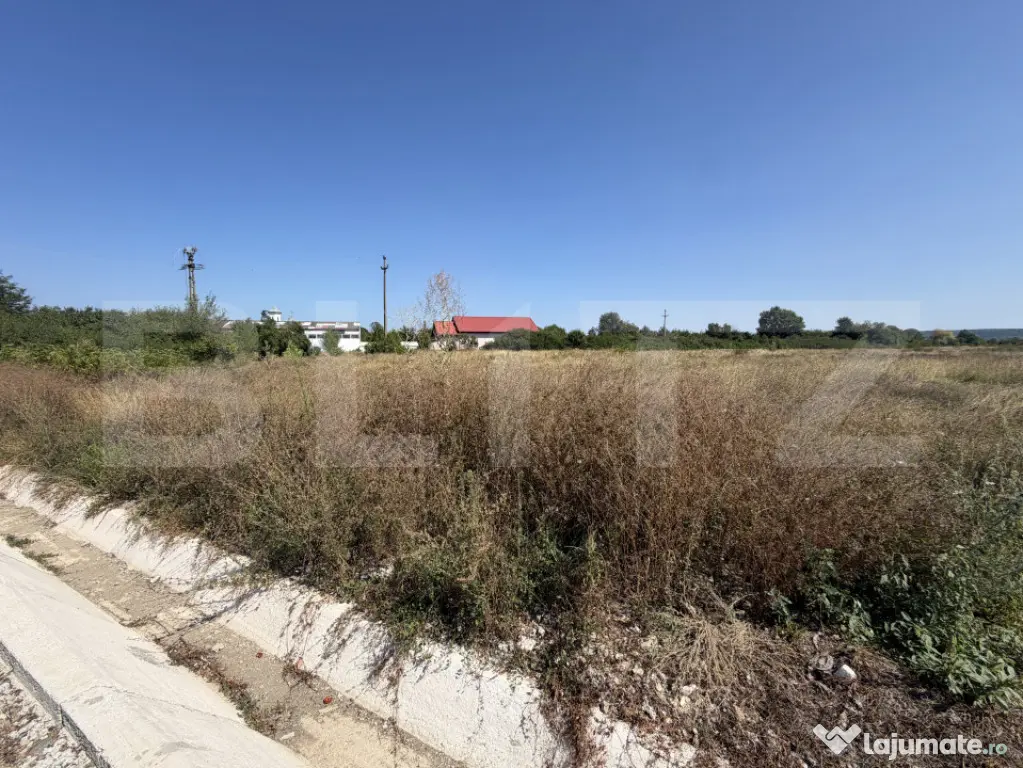 Teren 15.000 mp, zona Bucureasa - Targu Jiu (Gorj)