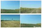 Terenuri extravilane arabile – Com. Becicherecu Mic, jud. Timis 73000mp
