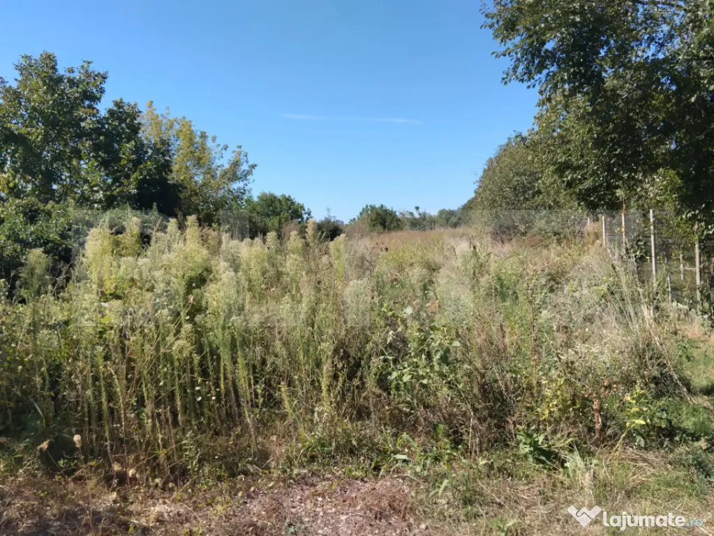 Teren intravilan, 800 mp, zona Cicom - Targoviste (Dambovita)
