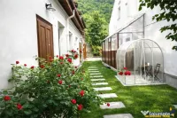Casa cu 3 apartamente transfer afacere, locuri parcare, Ce 