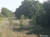 LOT COMASAT 31.136 MP - POPESTI-LEORDENI - PUG 2024 - ZONA L 