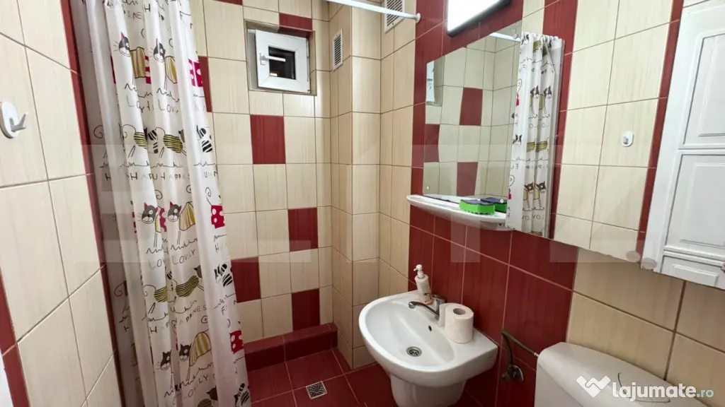 Inchiriere apartament 4 camere, langa Parcului Municipal - Bistrita (Bistrita-Nasaud)