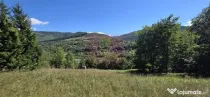 Teren intravilan 1825 mp de vanzare in Valea Doftanei