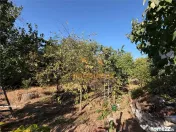 CASA PLAN PARTER | TEREN 904 MP | ACCES AUTO | GHEORGHE DOJ