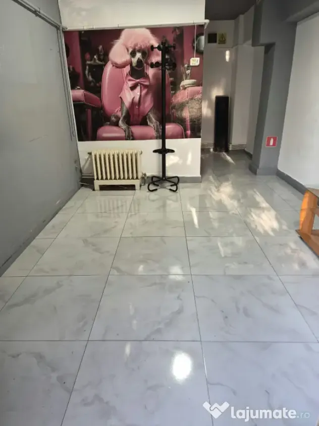 Spațiu comercial 20mp,centrală proprie grup sanitar Slobozia,str. Vasile Alecsandri