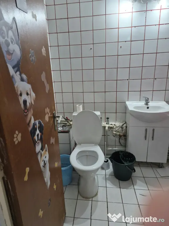 Spațiu comercial 20mp,centrală proprie grup sanitar Slobozia,str. Vasile Alecsandri
