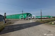 Hală industrială 950 mp utili de închiriat | Calea Moine?