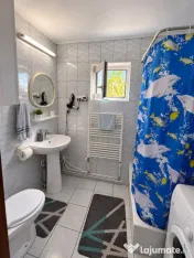 Casă P+1, 115 mp + garaj 75 mp, teren 4,7 ari, posibilitate 