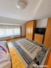 Casă P+1, 115 mp + garaj 75 mp, teren 4,7 ari, posibilitate 