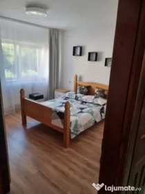 Garsoniera de inchiriat ,30mp, zona Doi Voievozi