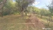 CASA 3 CAMERE TEREN 7770 MP BOTENI ARGEȘ
