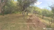 CASA 3 CAMERE TEREN 7770 MP BOTENI ARGEȘ