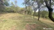 CASA 3 CAMERE TEREN 7770 MP BOTENI ARGEȘ
