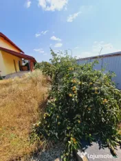 Casă 5 camere, Tărlungeni