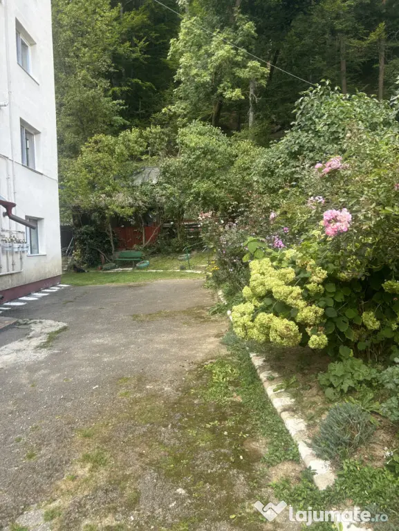 Oportunitate! Apartament 2 camere de închiriat, 49 mp, etaj - Busteni (Prahova)