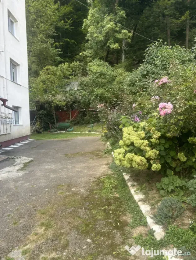 Oportunitate! Apartament 2 camere de închiriat, 49 mp, etaj - Busteni (Prahova)