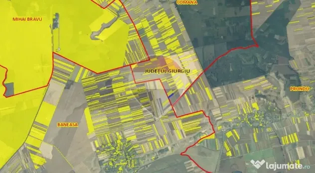 Teren extrvilan agricol de 6,100 mp - Comana / Giurgiu - Comana (Giurgiu)