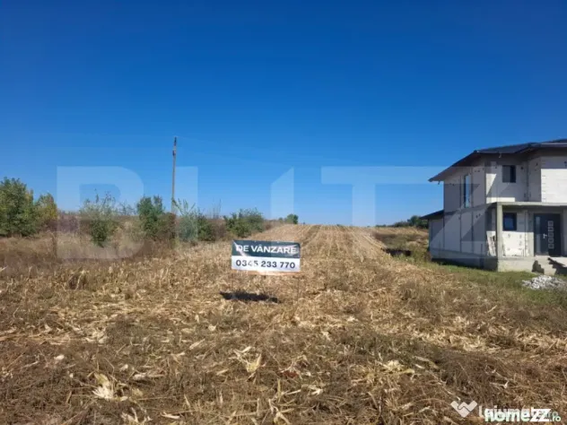 Teren intravilan, 5.000 mp, deschidere 20 ml, zona Bungetu - Bungetu (Dambovita)