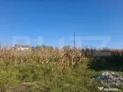 Teren intravilan 5.000 mp în Bungetu, lângă lacuri de pes 