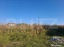 Teren intravilan 5.000 mp în Bungetu, lângă lacuri de pes