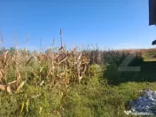 Teren intravilan 5.000 mp în Bungetu, lângă lacuri de pes 