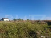 Teren intravilan 5.000 mp în Bungetu, lângă lacuri de pes 