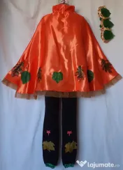 Costum Printul toamnei pentru copii,7-8-9 ani,195 lei 