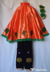 Costum Printul toamnei pentru copii,7-8-9 ani,195 lei 
