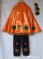 Costum Printul toamnei pentru copii,7-8-9 ani,195 lei 
