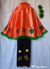 Costum Printul toamnei pentru copii,7-8-9 ani,195 lei 